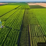 농업기술과 친환경 농업의 접목 - A high-resolution aerial view of a modern European farm field monitored by drones and satellites, sh...
